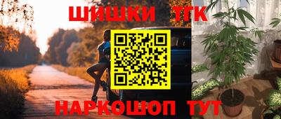 гидра Тулун