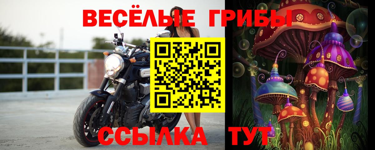 Благодарный  Псилоцибиновые грибы ЛСД  Вход с VPN 